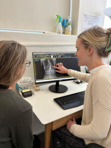 geelong scoliosis physio clinic